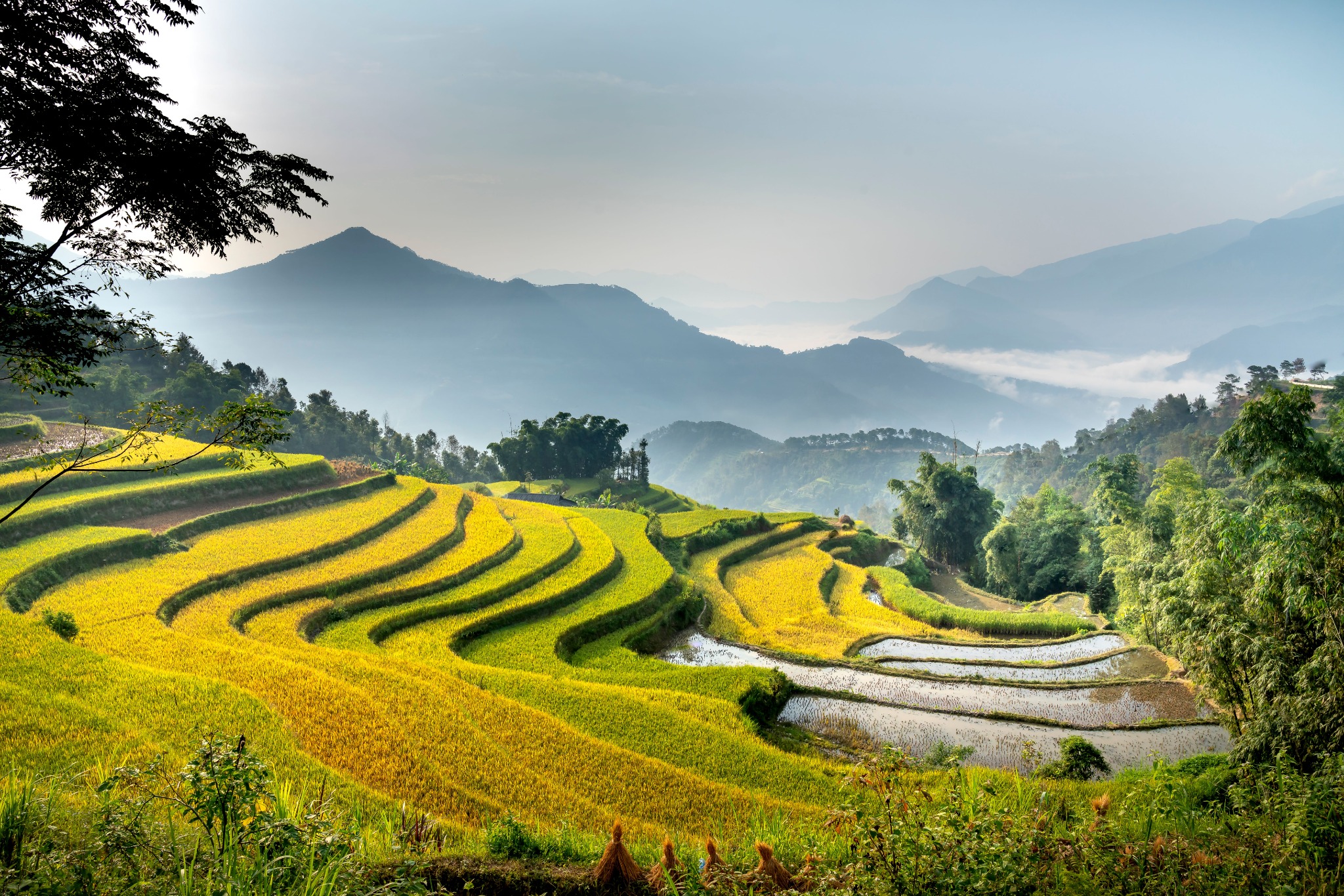 Vietnam